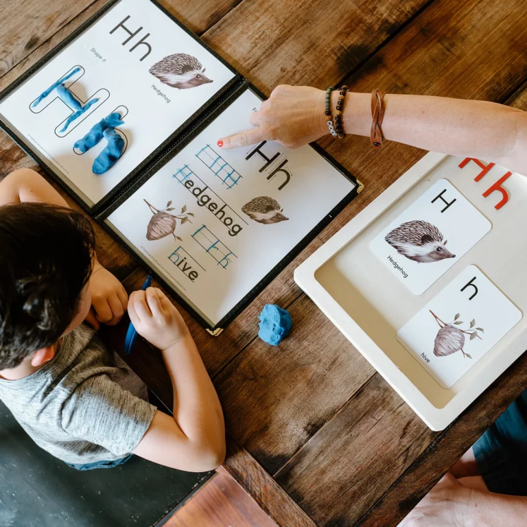 Popular Curriculum Choices For Homeschoolers