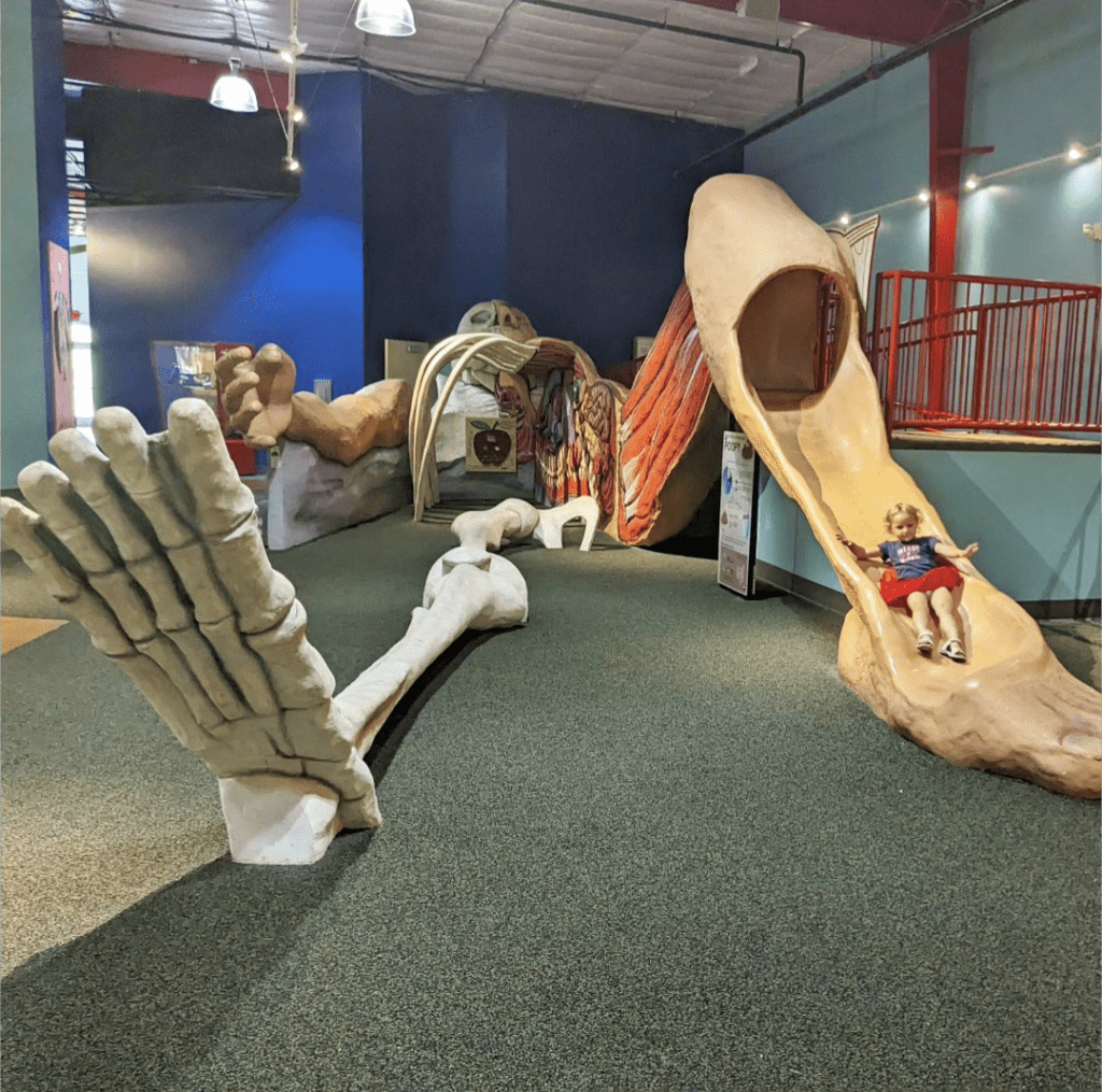 Teaching Kids About the Human Body and the Importance of Good Health Teaching Kids About The Human Body