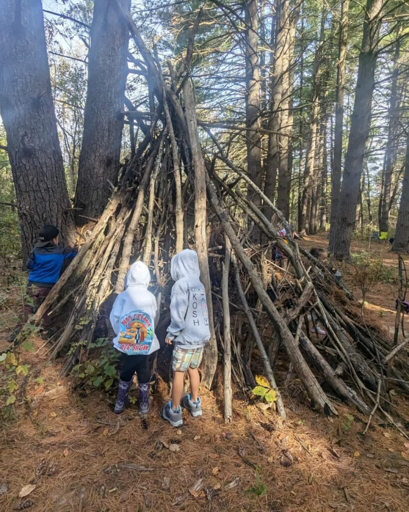 Incorporating Nature Studies into Your Homeschool Curriculum Nature Studies